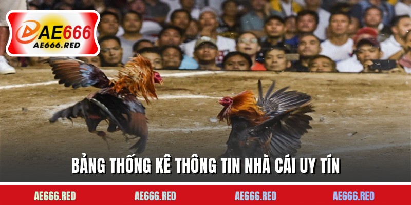 Bảng thống kê thông tin nhà cái uy tín
