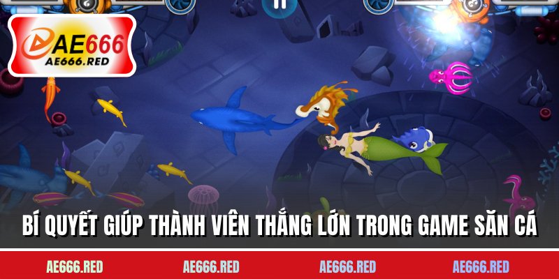 Bí quyết giúp thành viên thắng lớn trong game săn cá