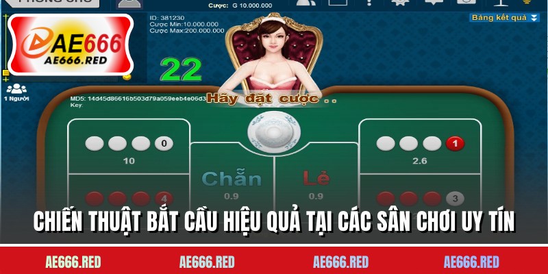 Chiến thuật bắt cầu hiệu quả tại các sân chơi uy tín